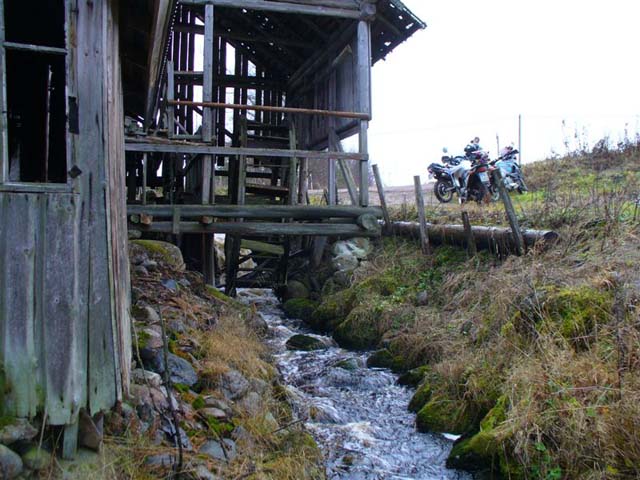 16-Pieni